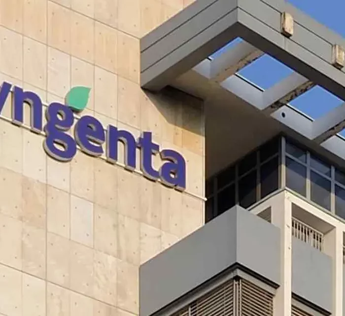 Syngenta Agro