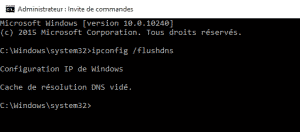 vider-cache-dns-windows