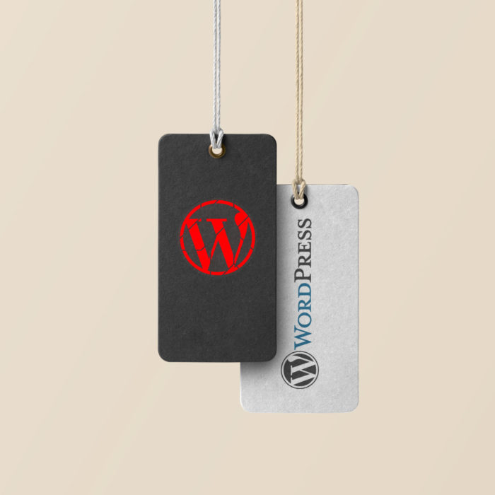 Plugin WordPress pour le CNIS